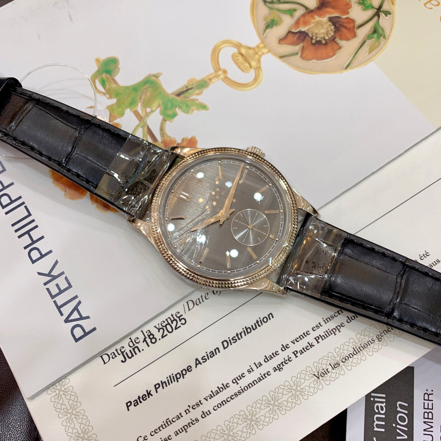 2025 Brand New Patek Philippe - 6119G-001 Calatrava Clous de Paris White Gold / Gray