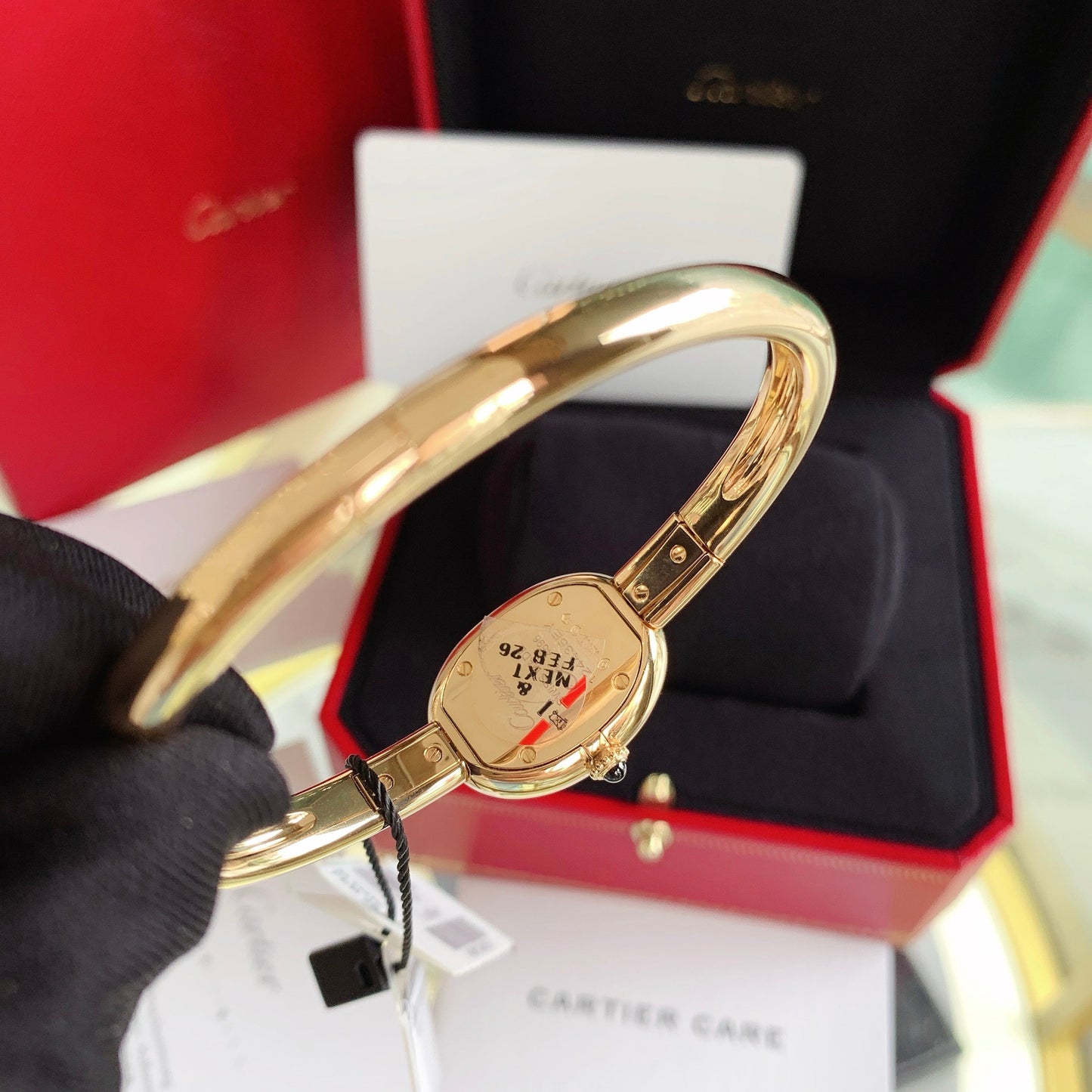 Cartier WGBA0035 Baignoire