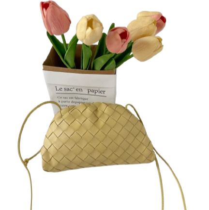 Bottega Veneta Intrecciato Mini Pouch Bag In Yellow