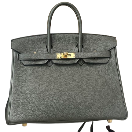 Hermès Birkin 25 G8 Vert Maquis Togo Gold Hardware