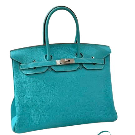 Hermès Birkin 35 6W Menthe Togo Palladium Hardware