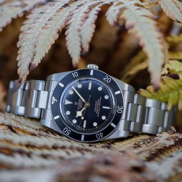 2025 New Tudor - 79000N-0001 Black Bay Fifty-Four Stainless Steel / Black / Bracelet