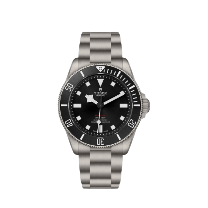 2025 New Tudor - 25407N-0001 Pelagos 39 Titanium / Black / Bracelet